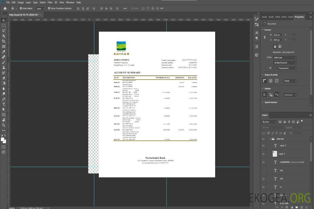 Relevé de la banque Norinchukin du Japon xls template